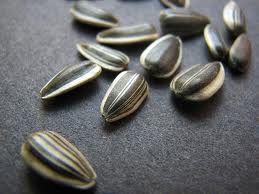 sunflower seeds- No Diets Allowed