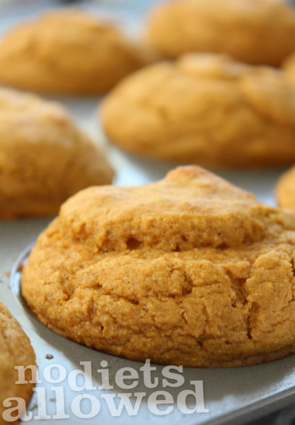 Gluten-Free and Vegan Pumpkin Muffins- No Diets Allowed
