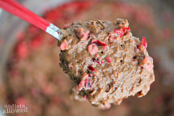 Chocolate Cranberry Muffins Batter- No Diets Allowed