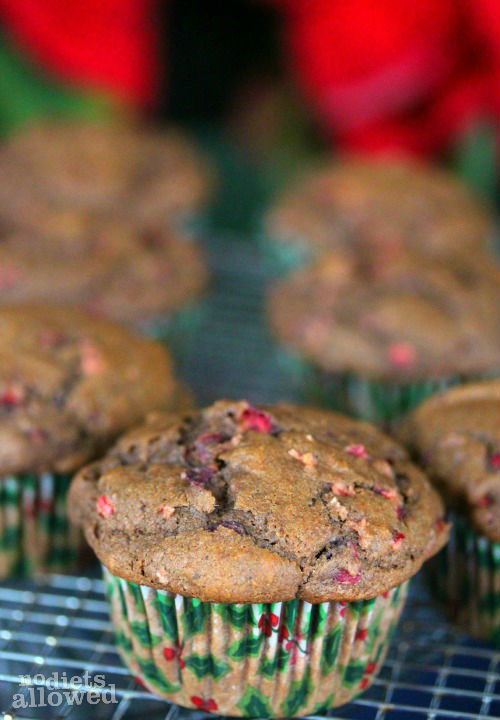 Chocolate Cranberry Muffins- No Diets Allowed