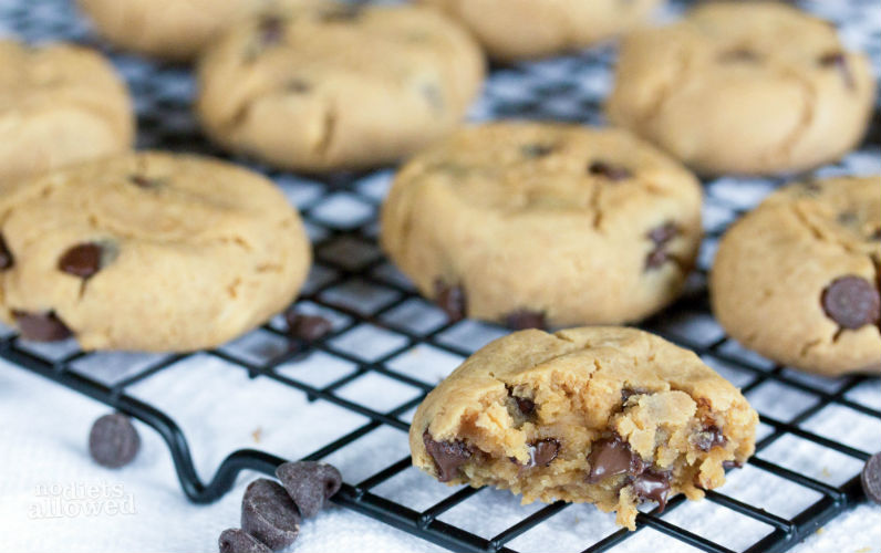 sugar free chocolate chip cookies- No Diets Allowed