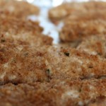 Crunchy Parmesan Chicken Tenders- No Diets Allowed