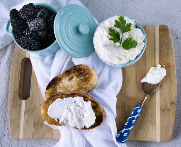 homemade ricotta - No Diets Allowed