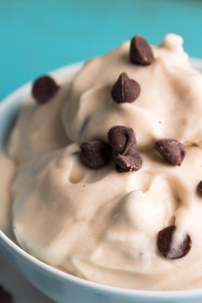chocolate chip homemade ice cream - No Diets Allowed